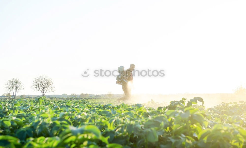 Image, Stock Photo AST 10 | welcome to the sky