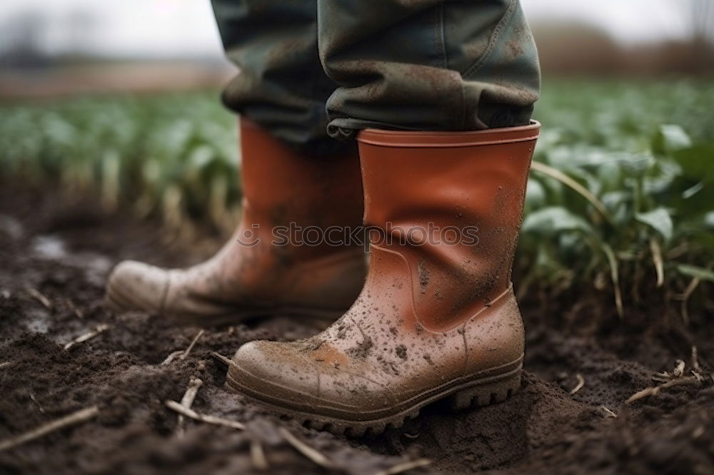 Similar – Image, Stock Photo Chucks are made for any terrain!