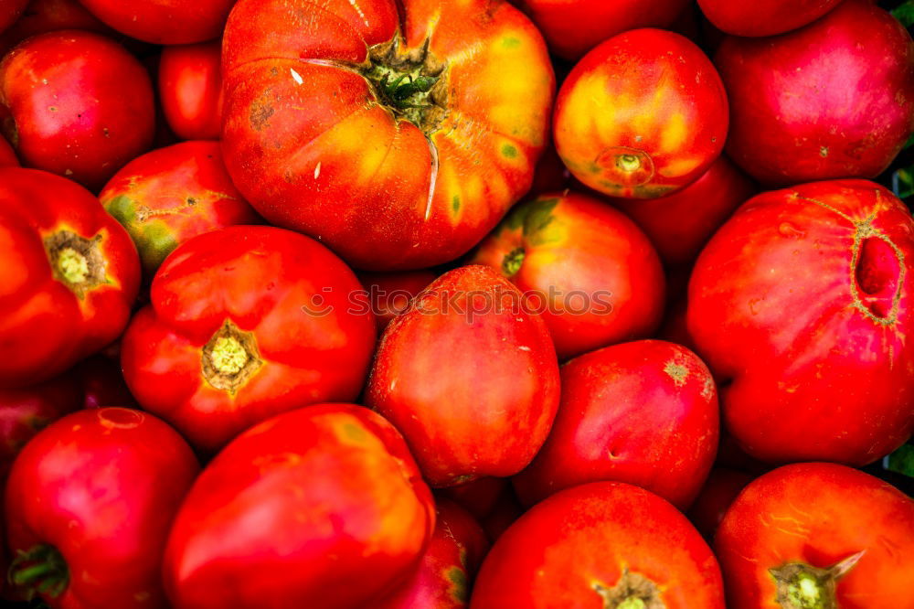 Similar – Fresh tomatoes Vegetable