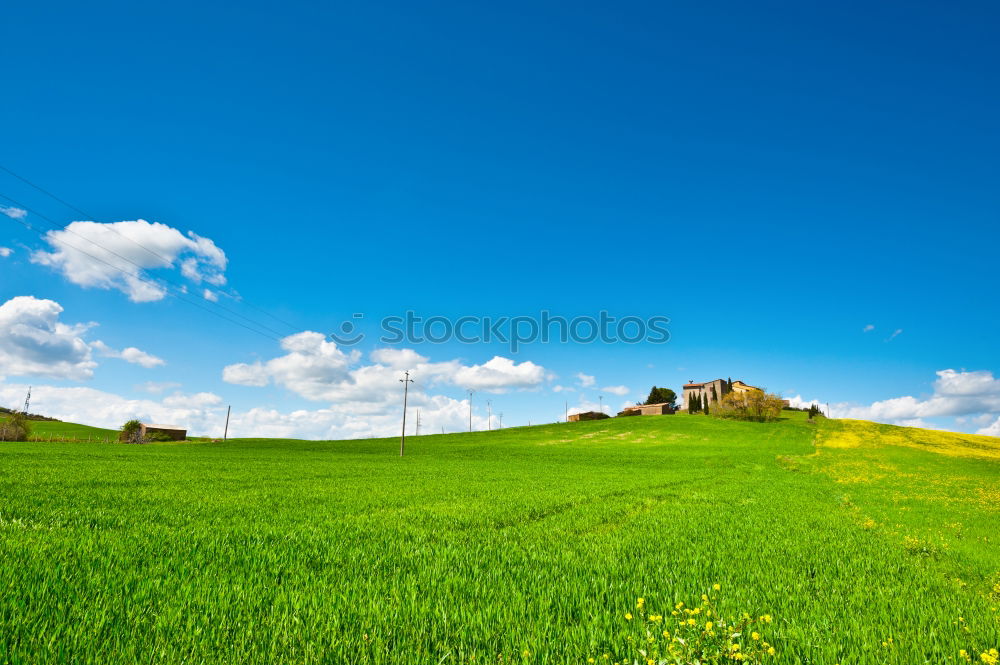 A country estate in Tuscany in spring