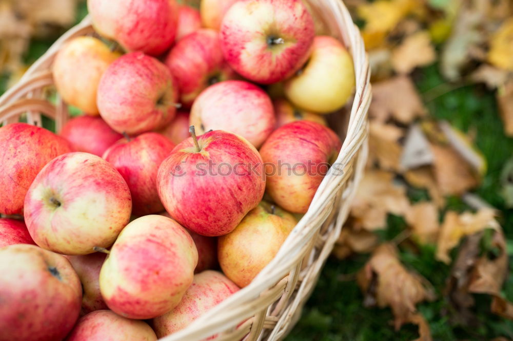 Similar – summer apples Food Fruit