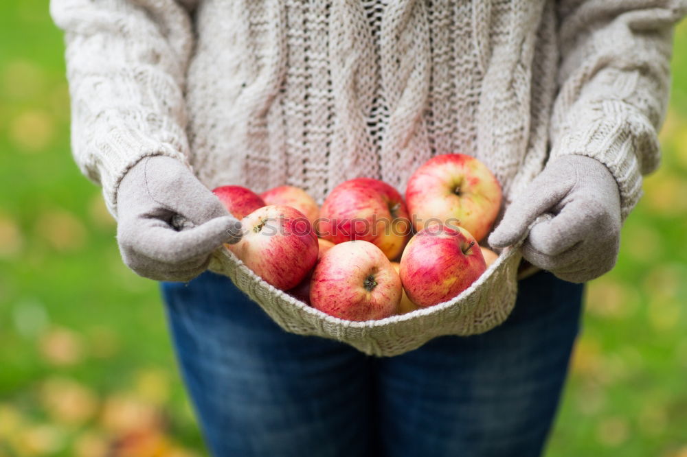 Similar – Flatlay of woman’s hands holding red ripe organic apples