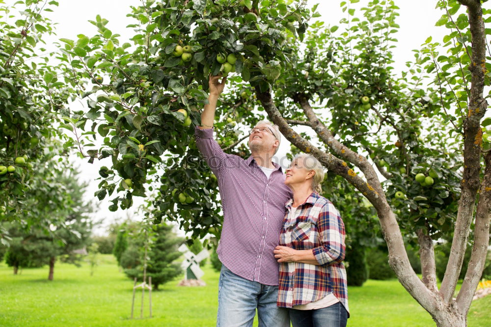 Similar – Young man harvesting apples