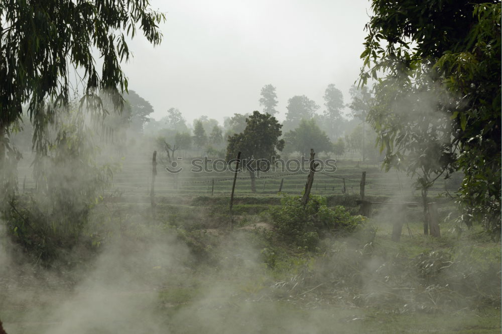 Similar – Foto Bild Aufsteigender Nebel Umwelt