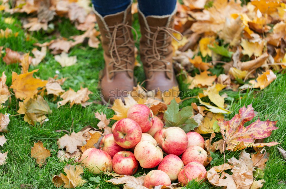 Similar – Foto Bild Der Herbst ist da feminin