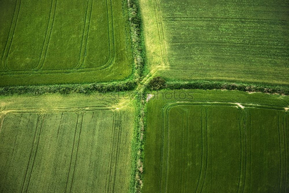 Similar – Felder Muster Baum Wellen