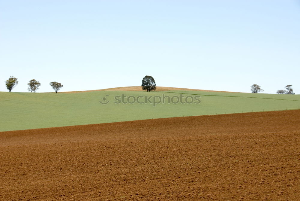 Similar – Image, Stock Photo midsummer Landscape