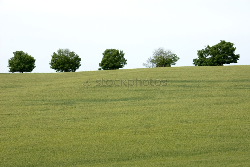 Similar – Foto Bild Rotkäppchen und der böse Onkel