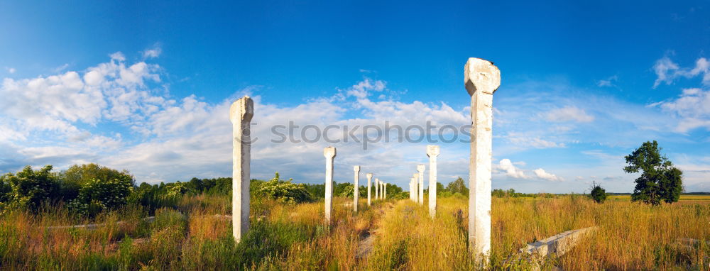 Similar – Group of trees 2 Landscape