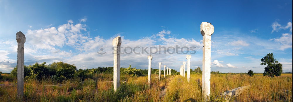 Similar – Auf der anderen Seite Baum