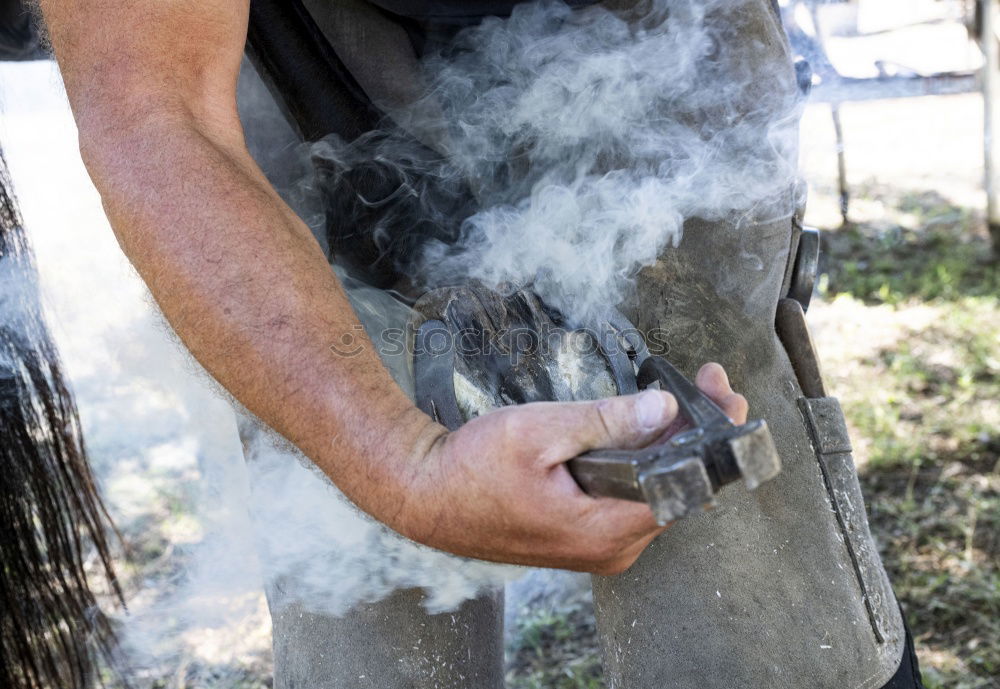 Similar – Holz ist ein Stück Lebensqualität