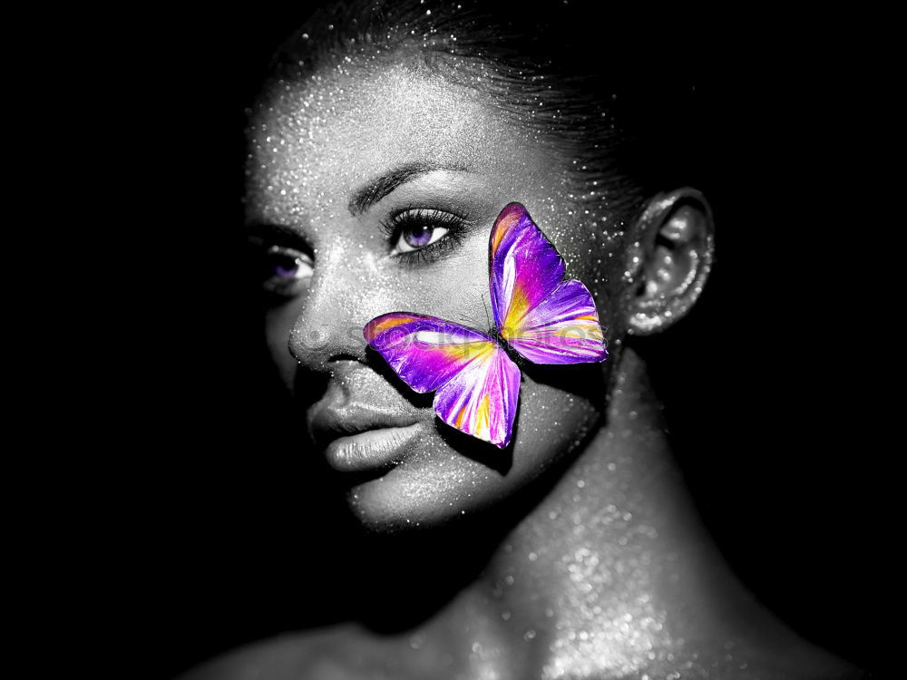 Similar – Image, Stock Photo butterflies Beautiful