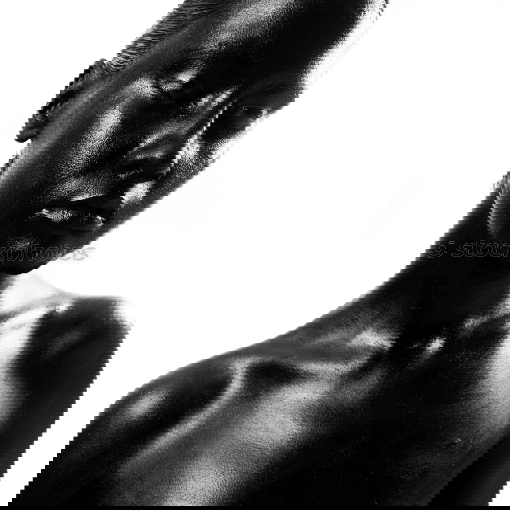 Foto Bild Ebenholzabbildung 3 Kunst
