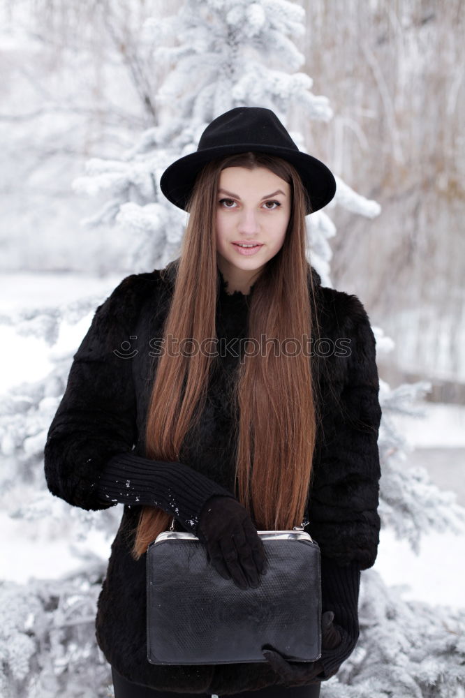 Similar – Image, Stock Photo winter Colour photo