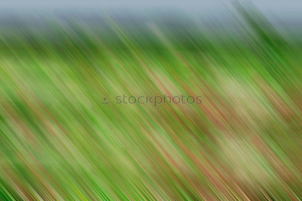 Similar – Image, Stock Photo Almost every road leads to the finish line / In a green field you can see two tire tracks. From left to top with a bend. The background is dark.