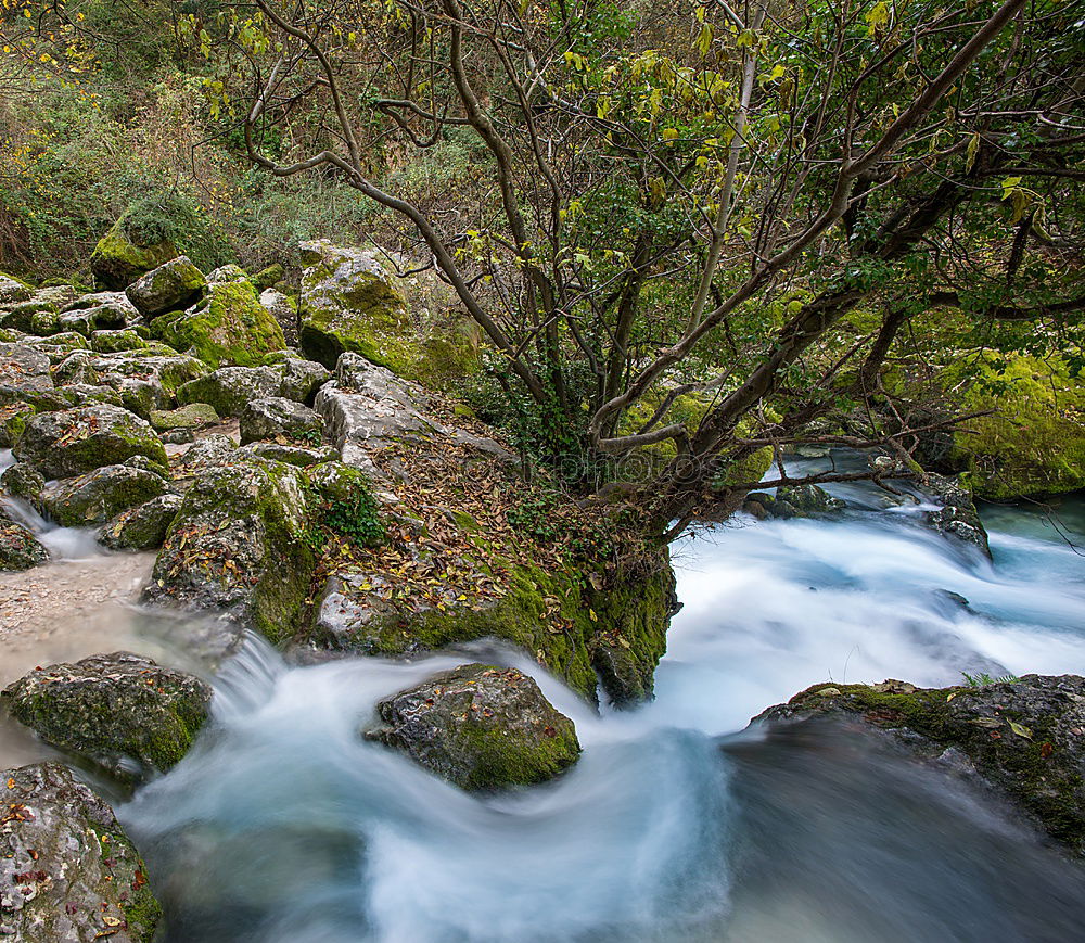 Similar – Image, Stock Photo Pyrenees Hiking Trail 12