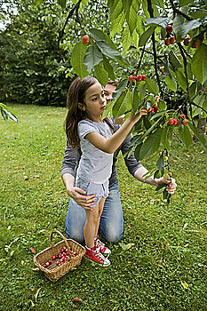 Similar – Image, Stock Photo Apple girl 2 Fruit