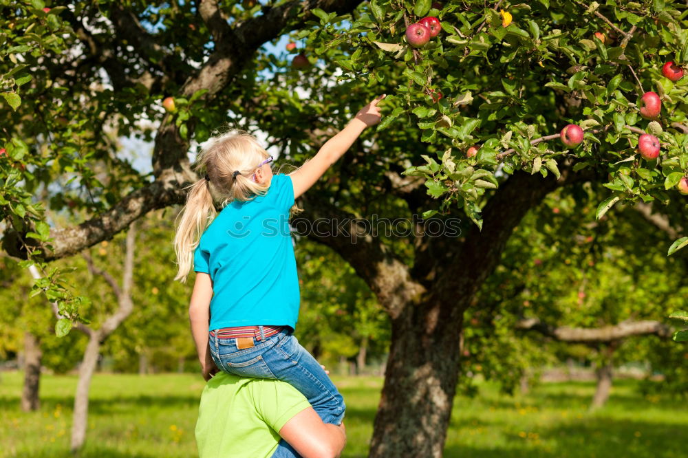 Similar – Woman picking cherry berries from tree