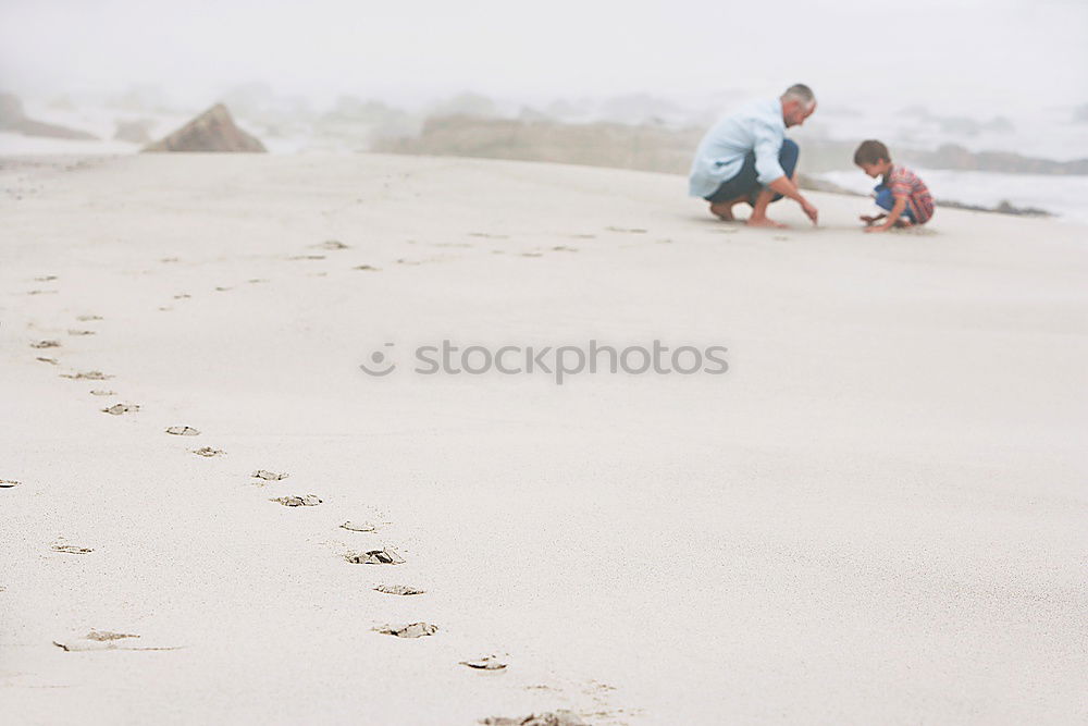 Similar – Image, Stock Photo kite excursion