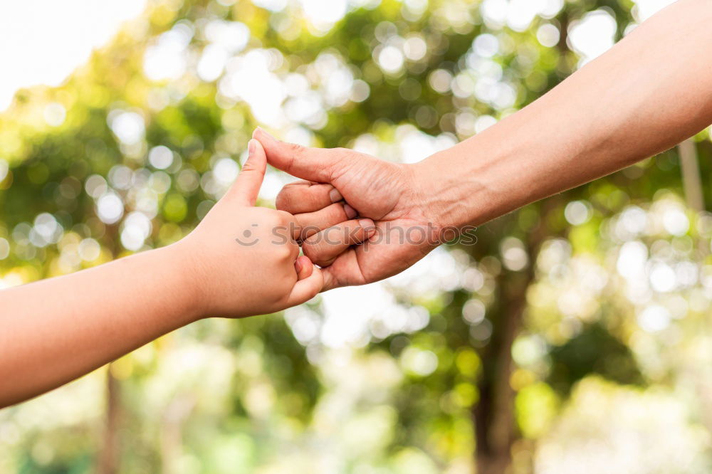 Similar – Image, Stock Photo Child holding hand of senior man in the nature