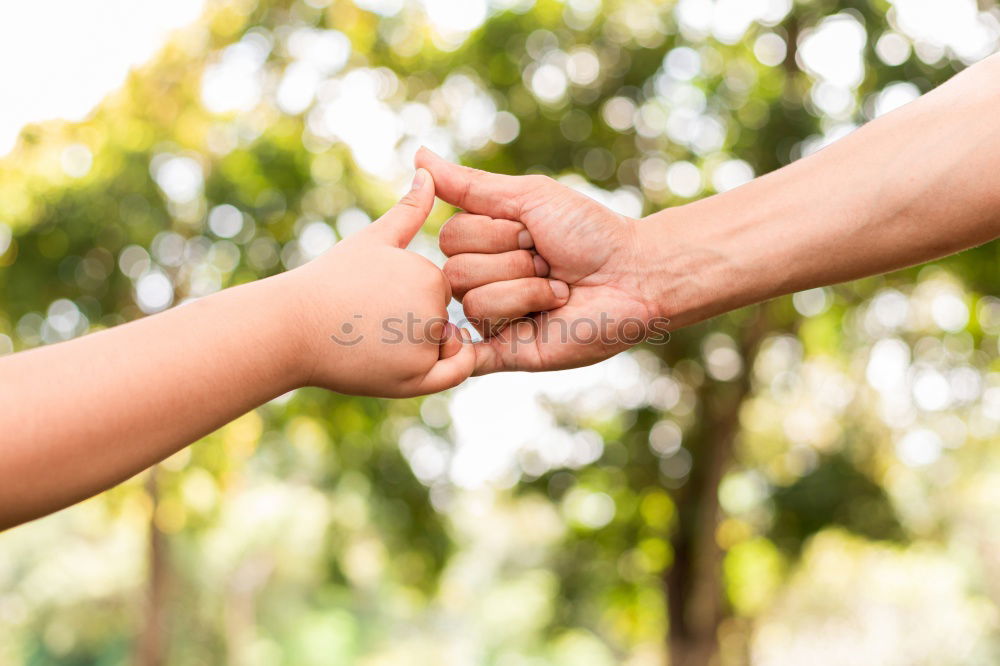 Similar – Image, Stock Photo Child holding hand of senior man in the nature