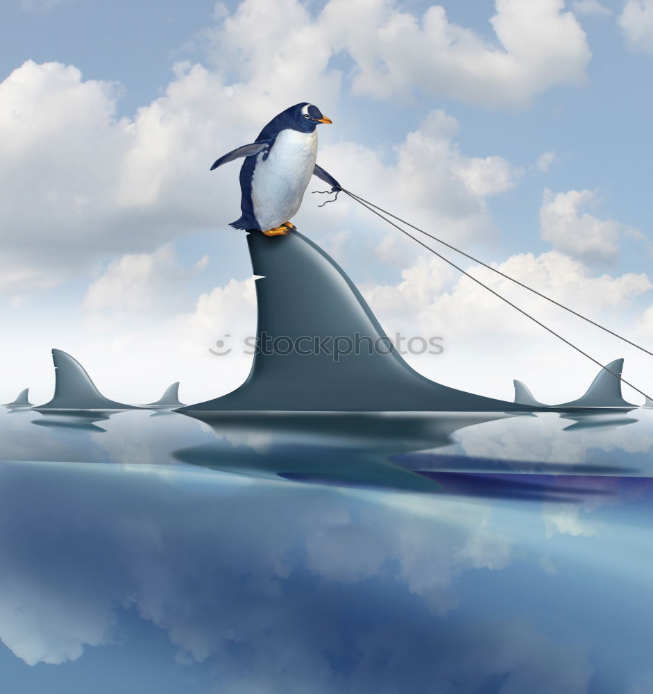 Similar – Image, Stock Photo floating object Rope Water