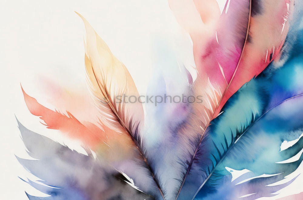 Similar – Foto Bild Aufgeblüht Natur Frühling