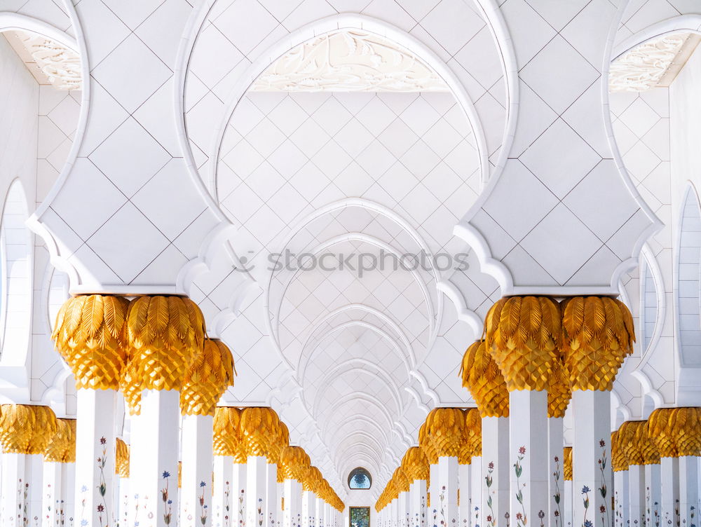 Image, Stock Photo …white Capital city