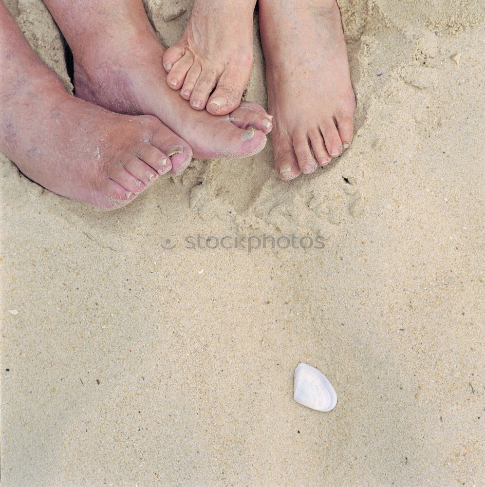 Similar – Image, Stock Photo .:frOschfuß:. Beach