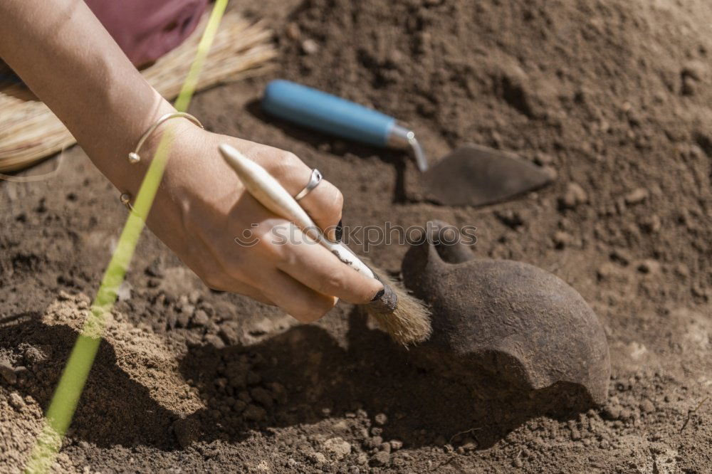 Similar – Image, Stock Photo Children’s hands with gloves planting potatoes