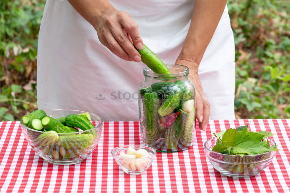 Similar – Pickling cucumbers with home garden vegetables and herbs