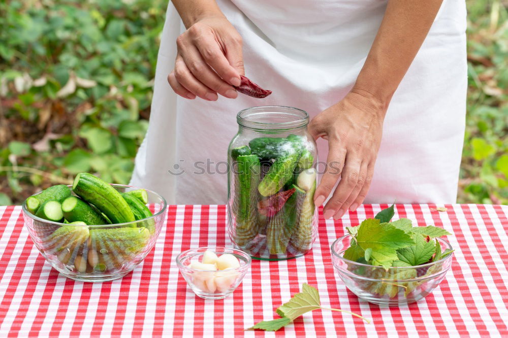 Similar – Pickling cucumbers with home garden vegetables and herbs