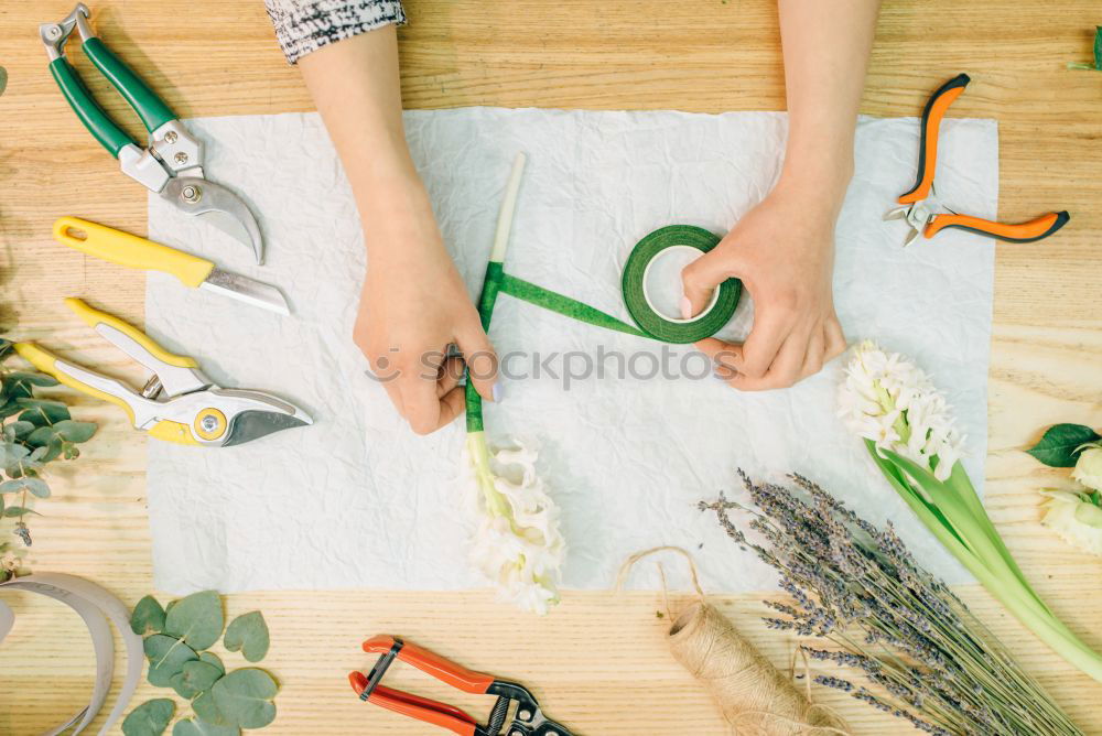 Similar – Sliced fresh carrots on a kitchen board