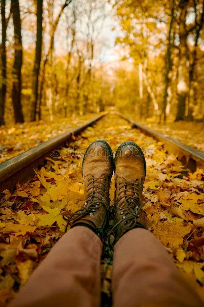 Similar – Image, Stock Photo Feet in the light Leaf