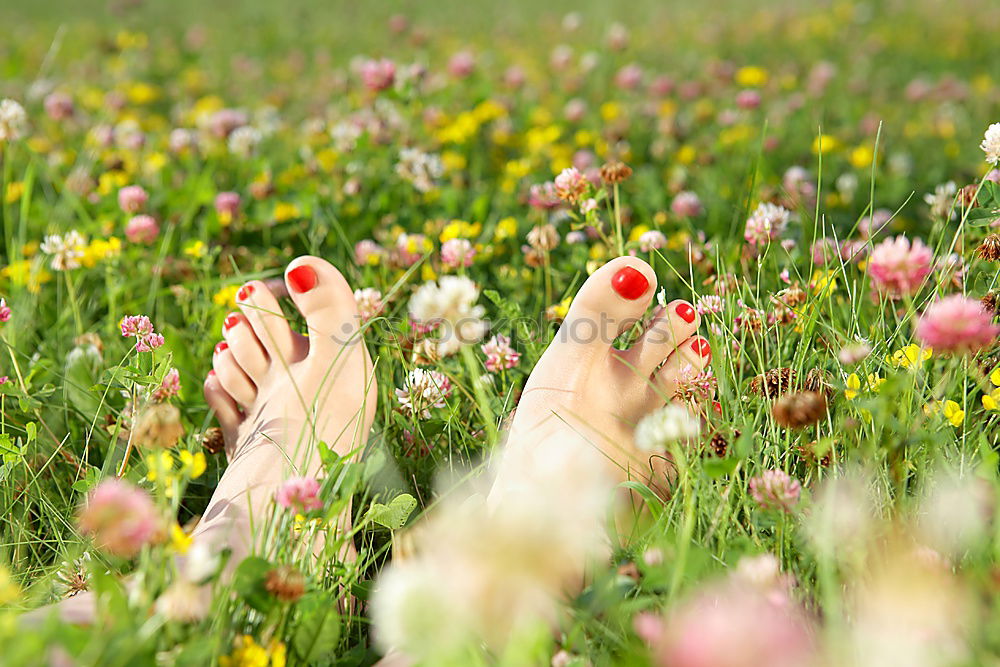 Similar – Image, Stock Photo grand Summer Spring May