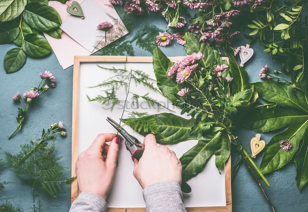 Similar – Female hands make autumn flowers decoration