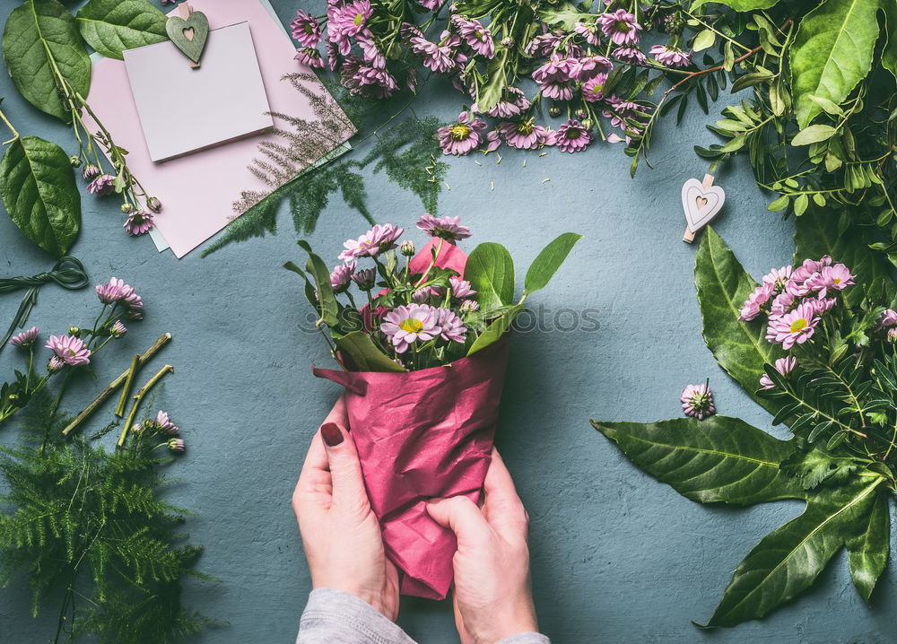 Image, Stock Photo Packing the bouquet, step by step 3