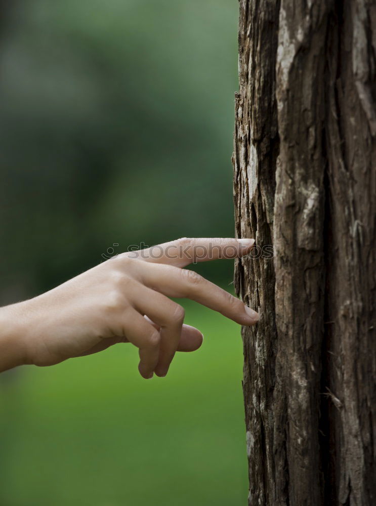 Similar – Image, Stock Photo Hands hold mint leaves