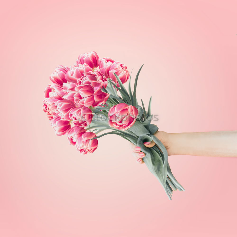 Image, Stock Photo Female hands make beautiful flower decorations
