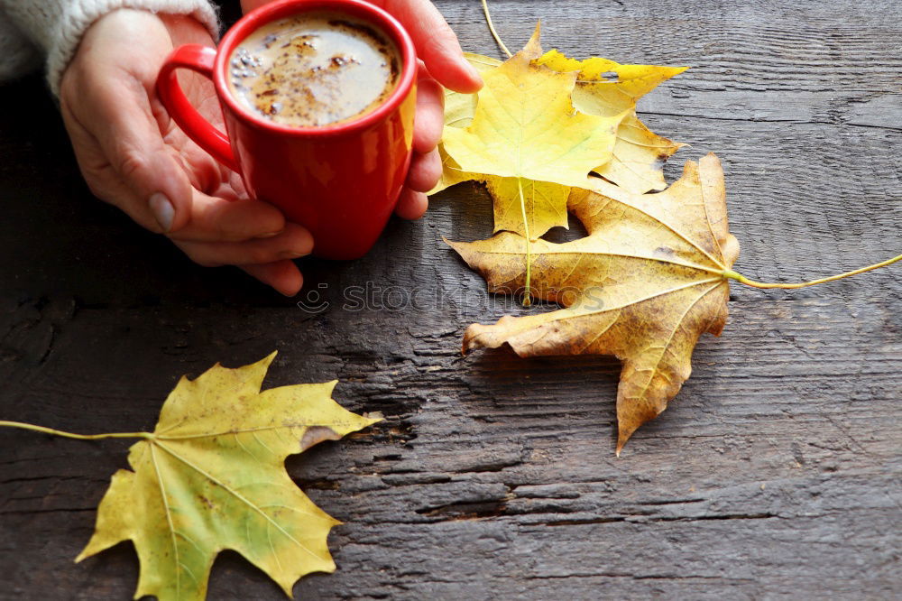 Similar – Image, Stock Photo cup of tea, maple leaves, key with blank label, warm clothes