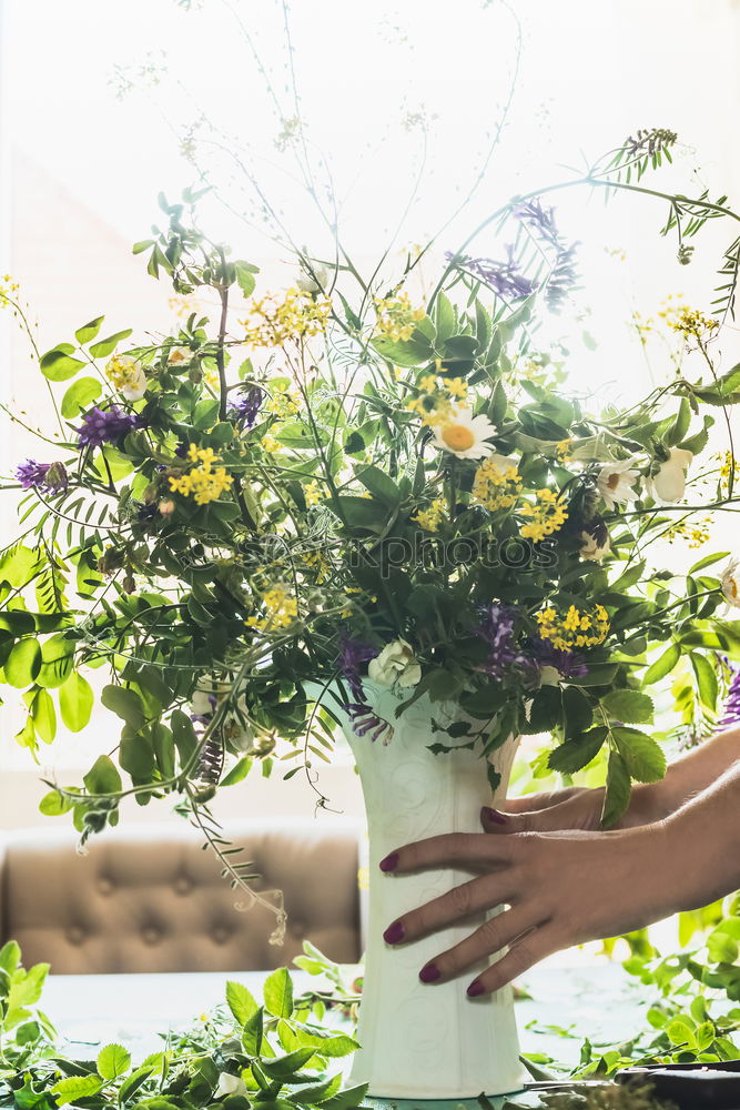 Similar – Image, Stock Photo Woman’s hands transplanting plant.