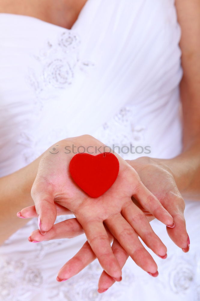 Similar – Image, Stock Photo Bridesmaid helping bride for the wedding day