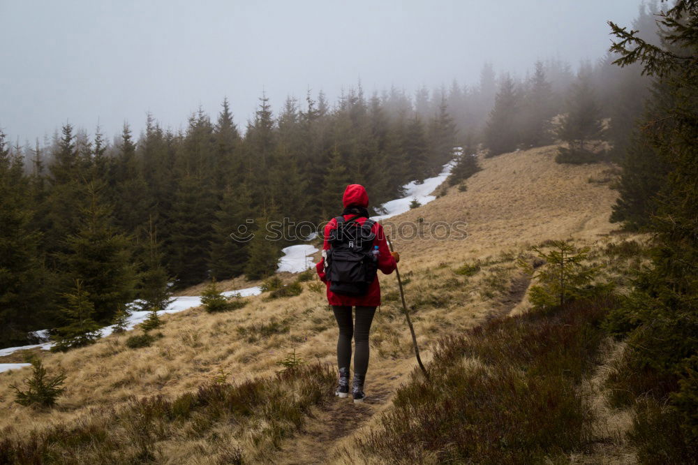 Similar – Hiking and first snow