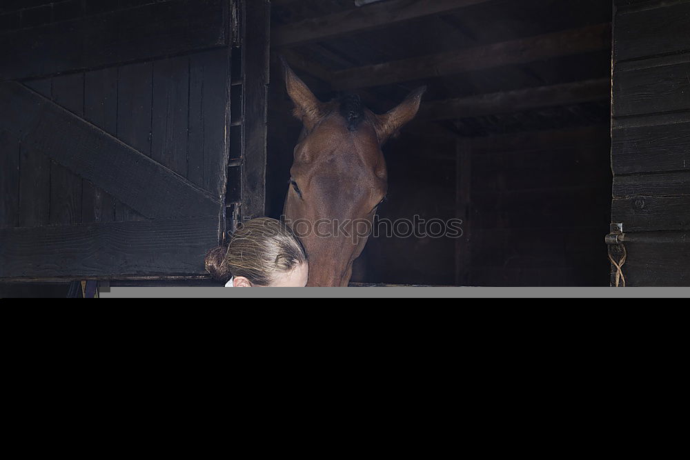 Similar – Image, Stock Photo Half Door Animal