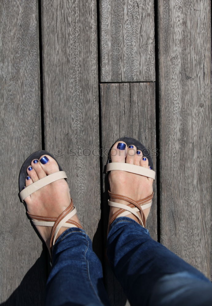 Similar – Image, Stock Photo sandpiper Flip-flops