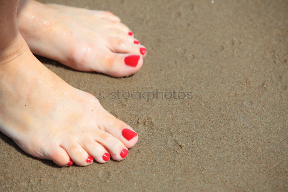 Similar – Image, Stock Photo sandpiper Flip-flops