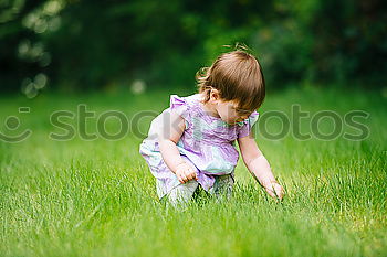 Similar – happy child boy catching butterflies