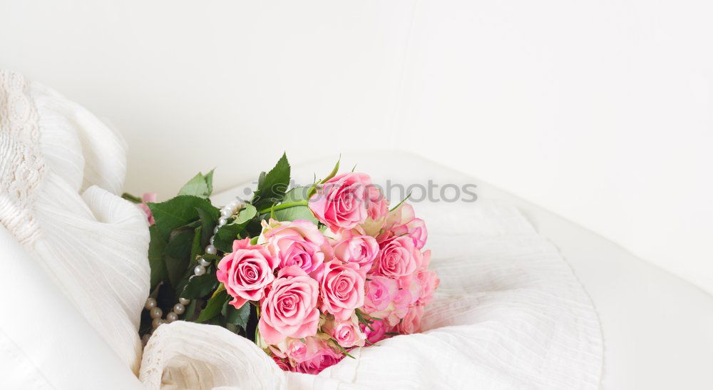 Similar – Image, Stock Photo Female hands hold handmade green soap