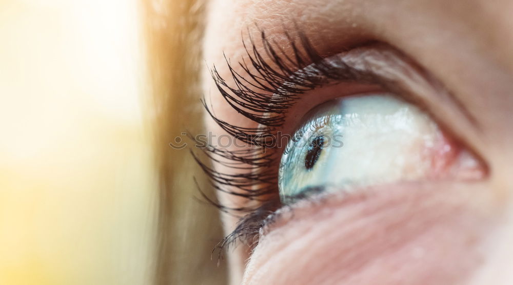 Similar – Close-up shot of young woman’s eye