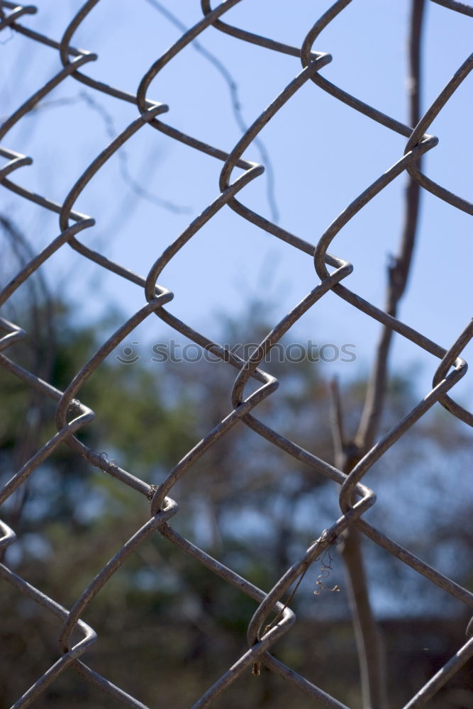 Similar – Image, Stock Photo walk detail Fence